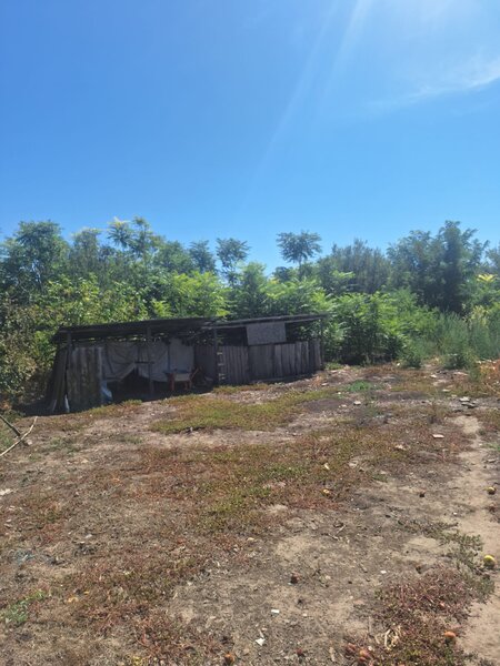 Seaca de Camp, jud. Dolj